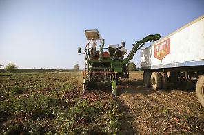 In 125 anni dai campi di Parma alla leadership europea