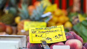 Nell&rsquo;Eurozona inflazione in calo a gennaio a +1,7%