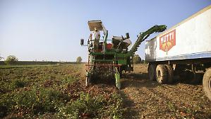 In 125 anni dai campi di Parma alla leadership europea