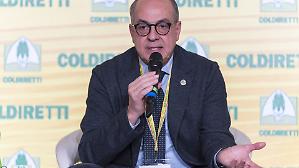 &laquo;Troppi riconoscimenti? No, se l'export aumenta&raquo;