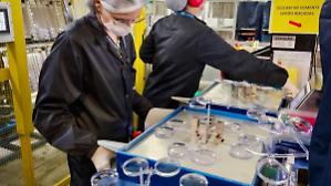 Essilux, in arrivo il primo contratto integrativo nel retail