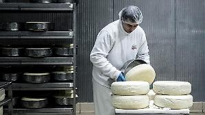 Ismea, export agroalimentare verso i 73 miliardi nel 2025. Accelerano i consumi domestici