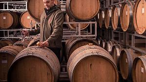 Stock di vino al top. I produttori: &laquo;Aiuti per i mercati esteri&raquo;