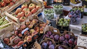 Ortofrutta, nel '25 produzione in calo ma export forte