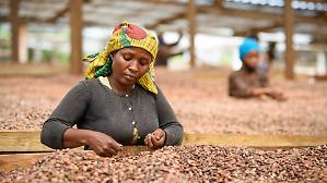 Da Lecco a Kampala, il cioccolato di Icam punta sulla filiera integrata