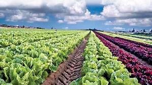 Gruppo Alegra chiude il 2025 con 318 milioni di ricavi