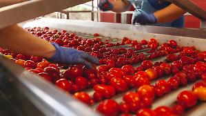 Pi&ugrave; cibo biologico nel piatto (+6,2%) e il traino della Gdo. Intesa Stato-Regioni contro le frodi