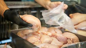 Far west normativo in Ue sulle carni animali. Sfida a suon di accordi con la Gdo tra Paesi