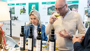 Veronafiere, torna il Salone dell&rsquo;olio. Nel &rsquo;25 l&rsquo;export rallenta in valore