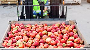 Il comparto ortofrutta accusa il colpo. Fermi i container e gli ordini