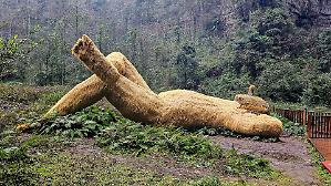 Le scienze umane ibride si misurano con il presente spaventando i populismi