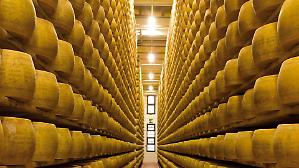 Trentingrana, siglato contratto di filiera da 43 milioni