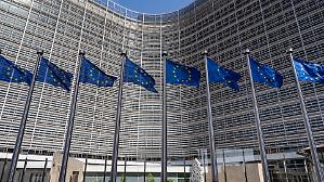 &Egrave; scontro sul 28&deg; regime Ue per le imprese: &laquo;Non supera le norme giuridiche nazionali&raquo;
