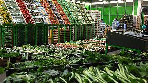 Container fermi, ordini disdetti e caro energia. La guerra zavorra le coop del food in Romagna 
