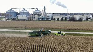 La guerra del mais tra Ue e Cina fa crollare i prezzi. Ma non sugli scaffali della grande distribuzione