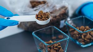 Il mercato del cibo per animali non soffre la ciclicit&agrave;. Life Pet Care supera i 41 milioni
