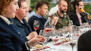 Il vino italiano salpa verso il Nuovo Mondo. Il Mercosur chance per i produttori italiani
