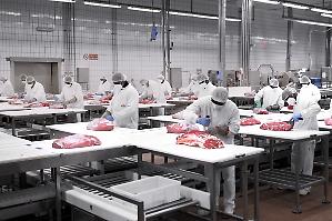 Inalca, fumata bianca al tavolo di crisi. Altri sei mesi di cassa integrazione e ricollocamento dei 165 esuberi