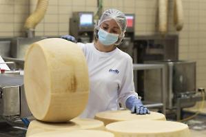 Parmigiano Reggiano, il re dei formaggi. Prezzi in ascesa e domanda interna gi&ugrave;. Export a quota 53%