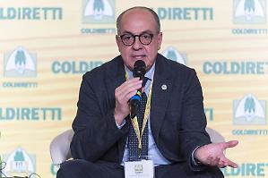 &laquo;Troppi riconoscimenti? No, se l'export aumenta&raquo;