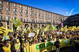 Coldiretti, parte da Torino la mobilitazione sull'import extra Ue. &laquo;L'agricoltura non sia svenduta a favore di altri settori&raquo;