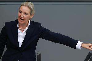 L&rsquo;Afd punta a espellere l&rsquo;ala radicale dopo le rivelazioni di Die Welt su M&auml;rkl