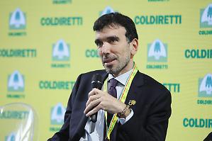 Fao, il Governo candida l&rsquo;ex segretario dem Martina