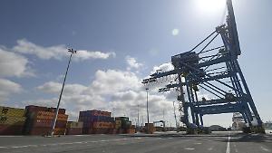 Porti laziali, nel &rsquo;25 i traffici tengono. Civitavecchia in testa