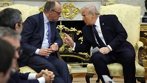 Trump loda Merz e attacca l'Ue. Al centro del vertice la guerra i dazi e le spese per la difesa