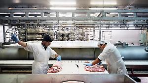 Maxi frode nel distretto carni. Otto milioni sequestrati in Emilia