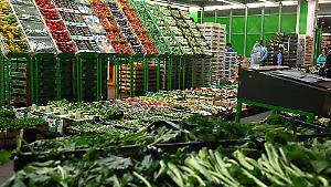 Container fermi, ordini disdetti e caro energia. La guerra zavorra le coop del food in Romagna