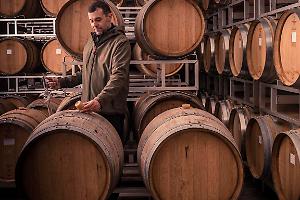 Stock di vino al top. I produttori: &laquo;Aiuti per i mercati esteri&raquo;