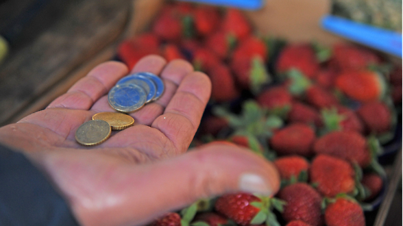 Consumi, famiglie pi&ugrave; pessimiste. Ma la private label accelera