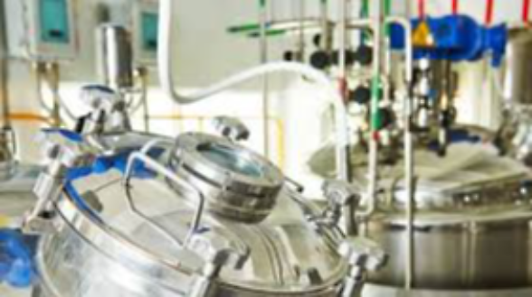 L&rsquo;olandese Foeth rafforza la sua mission grazie a Intimac