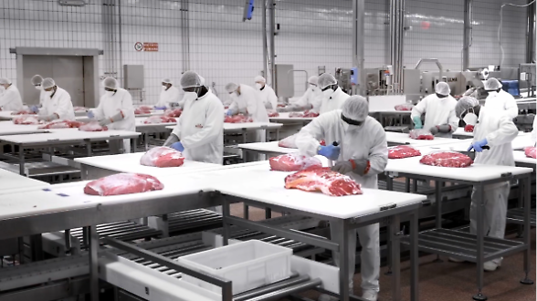 Inalca, fumata bianca al tavolo di crisi. Altri sei mesi di cassa integrazione e ricollocamento dei 165 esuberi