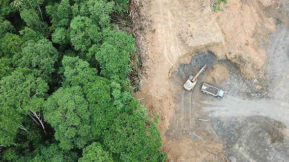 Deforestazione, l&rsquo;Ue rinvia ma restano i dubbi delle imprese