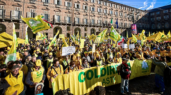 Coldiretti, parte da Torino la mobilitazione sull'import extra Ue. &laquo;L'agricoltura non sia svenduta a favore di altri settori&raquo;