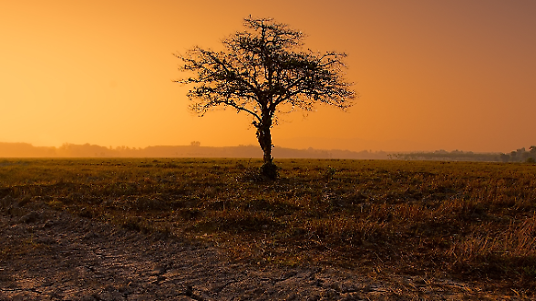 In un mondo distrutto dai cambiamenti climatici non bisogna essere ciechi