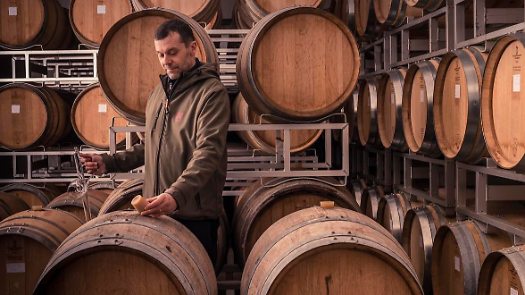 Stock di vino al top. I produttori: &laquo;Aiuti per i mercati esteri&raquo;