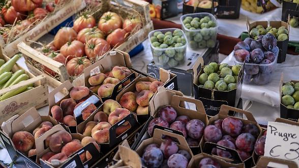 Ortofrutta, nel '25 produzione in calo ma export forte