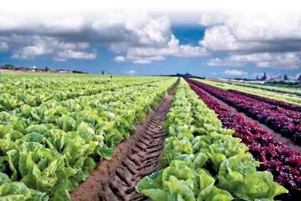 Gruppo Alegra chiude il 2025 con 318 milioni di ricavi