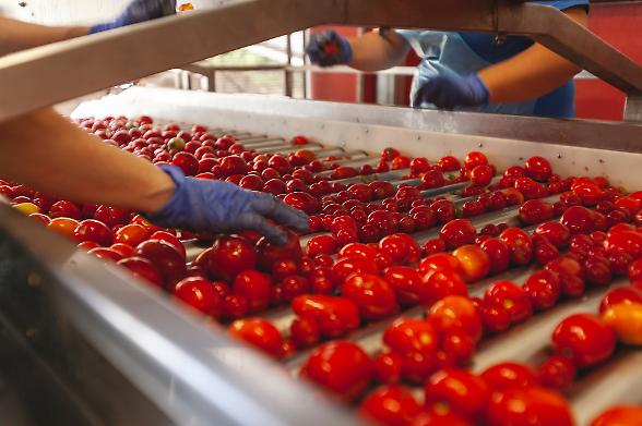 Pi&ugrave; cibo biologico nel piatto (+6,2%) e il traino della Gdo. Intesa Stato-Regioni contro le frodi