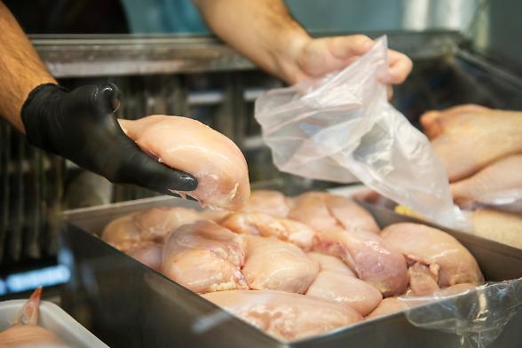 Far west normativo in Ue sulle carni animali. Sfida a suon di accordi con la Gdo tra Paesi