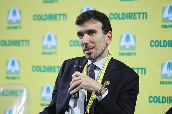 Fao, il Governo candida l&rsquo;ex segretario dem Martina