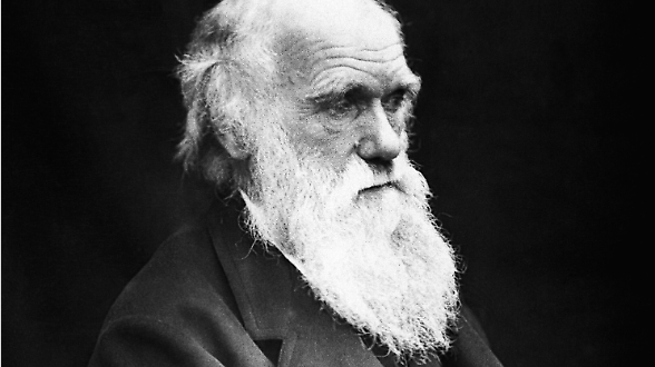Evoluzione e parit&agrave;: quando le femministe scoprirono Darwin