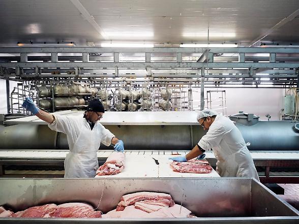 Maxi frode nel distretto carni. Otto milioni sequestrati in Emilia