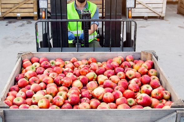 Il comparto ortofrutta accusa il colpo. Fermi i container e gli ordini