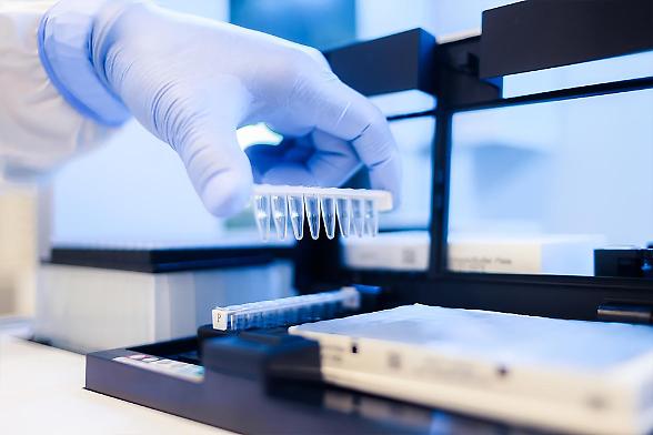 Diatech, la diagnostica molecolare per l’oncologia guarda ai mercati globali