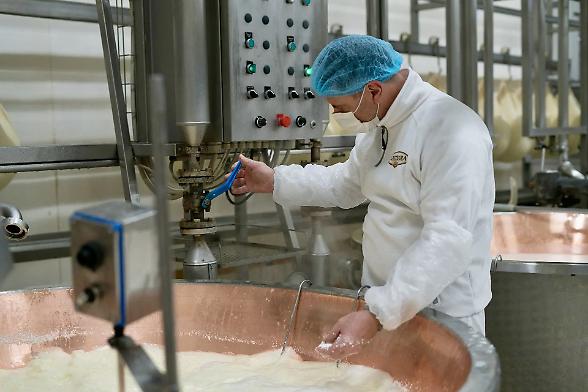 Lattegra punta tutto su una filiera a km zero. Ma manca chi munge