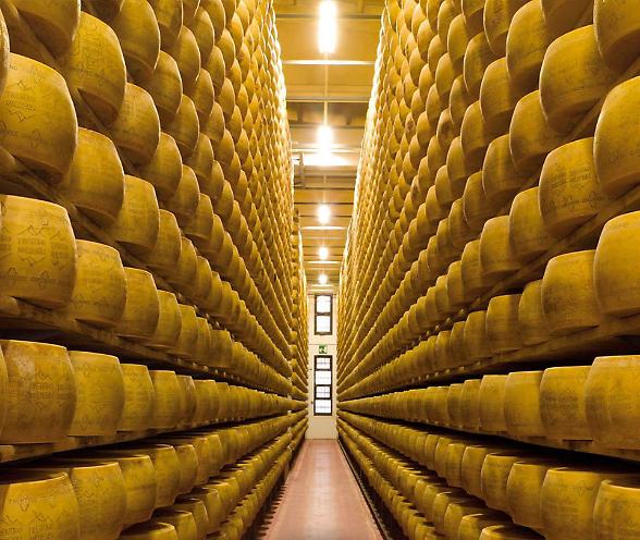 Trentingrana, siglato contratto di filiera da 43 milioni